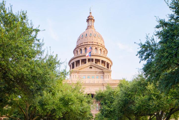 Texas Medicaid expansion for low-income adults