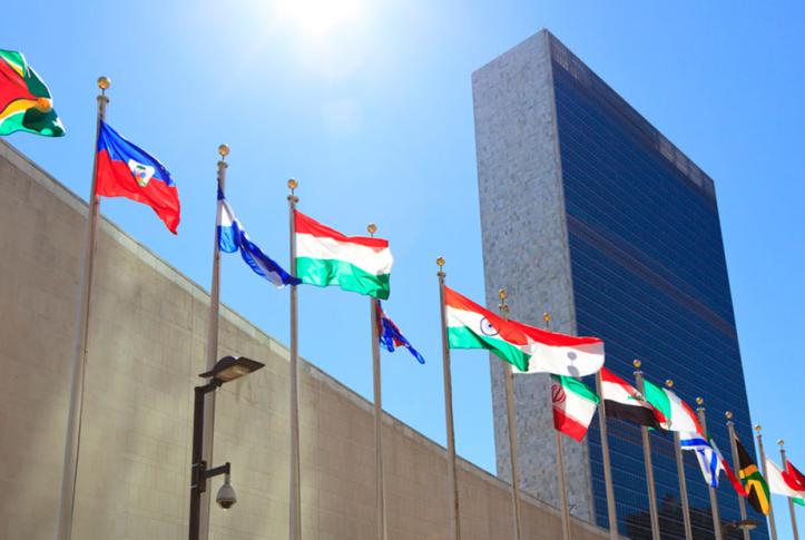 United Nations flags in NY