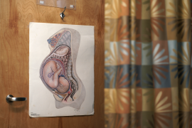 Poster of pregnancy with infant seen inside of a drawing of the mother.